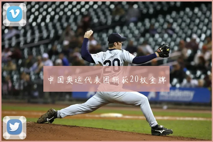 中国奥运代表团斩获20枚金牌