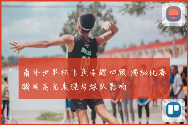 南非世界杯飞鱼专题回顾 揭秘比赛瞬间高光表现与球队影响