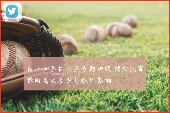 南非世界杯飞鱼专题回顾 揭秘比赛瞬间高光表现与球队影响