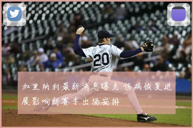 加里纳利最新消息曝光 伤病恢复进展影响新赛季出场安排